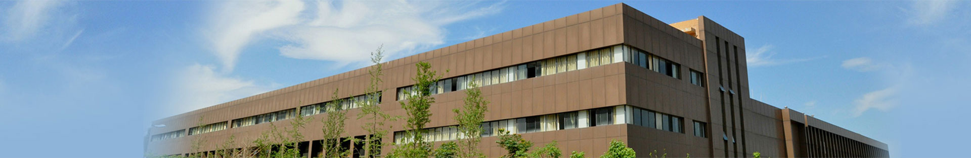 ����ΰ�ײ�