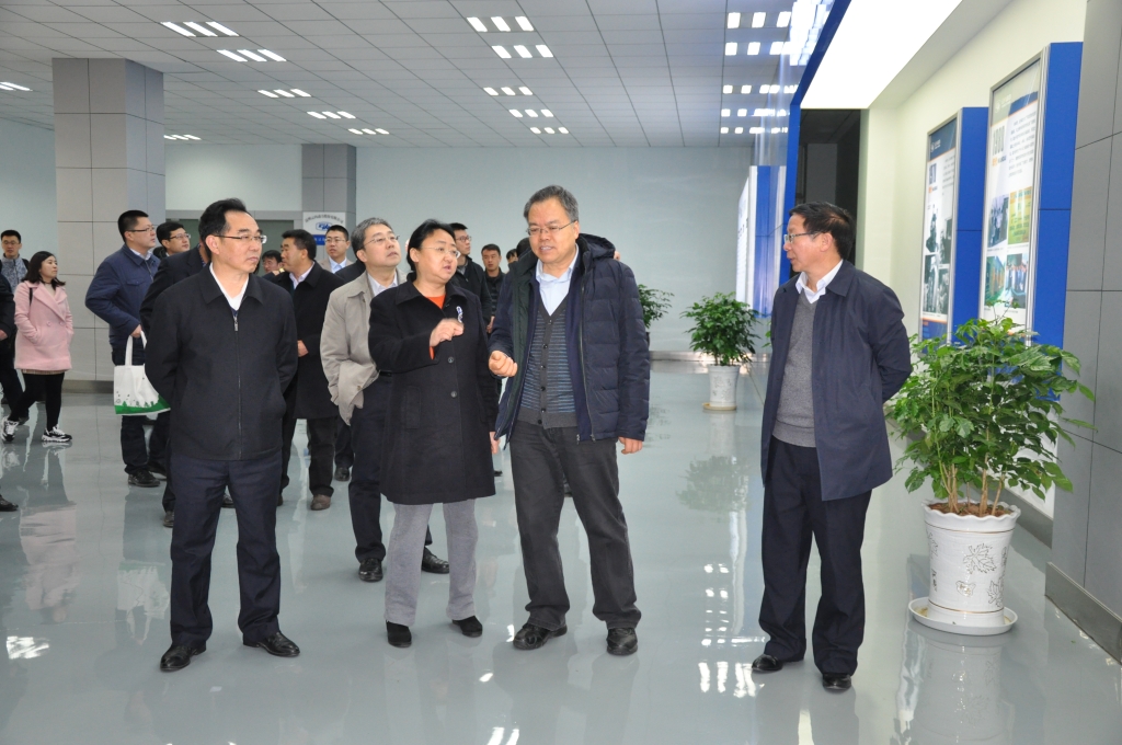 ���ҹ�ҵ����Ϣ��������˾���ƻ�˾��һ�е���ΰ�ײ�����