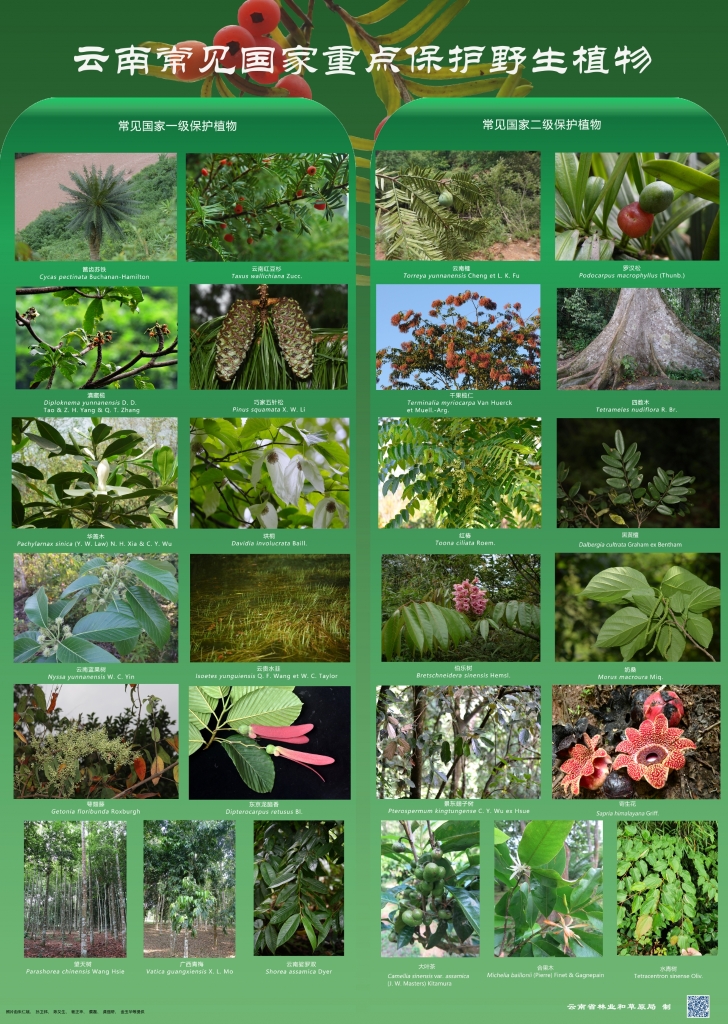 �԰��շ���Σ�������ص����ֲ����